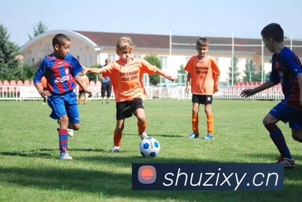 开云app服务体系